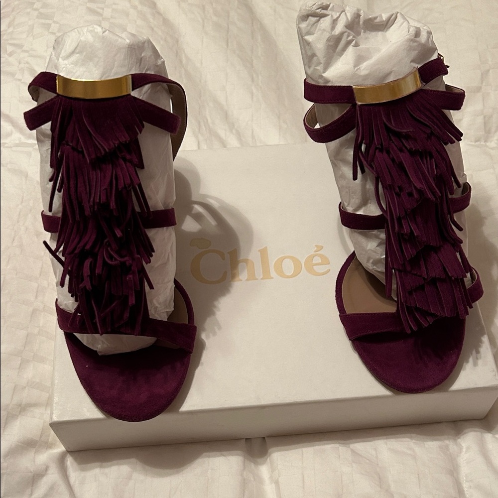 Stunning and fun Chloe fringed heel